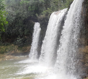 Salto-Alto
