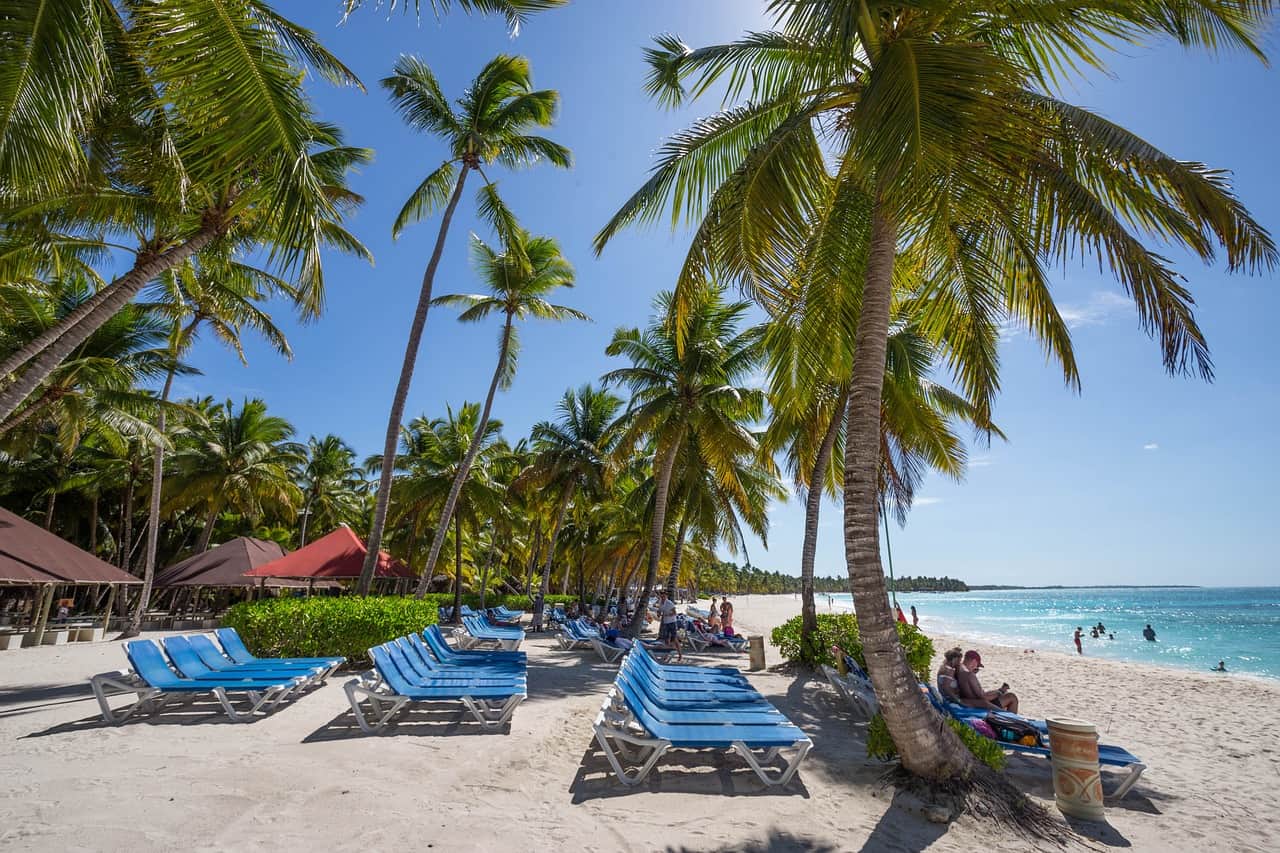 dominicaanse-republiek-palmstrand_