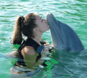 Ocean World