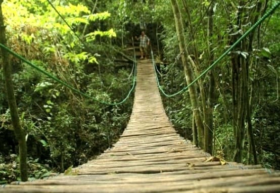 jungle-eco-tour-hangbrug