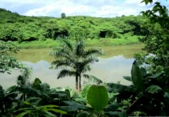 jungle-en-eco-tour-rio-chavon