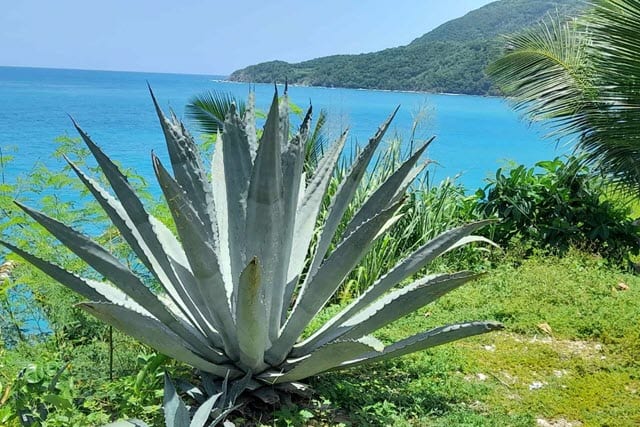 zuidwestkust-dominicaanse-republiek-1