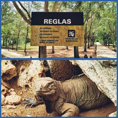 afbeeldingcuevadelasmarivillas-excursie